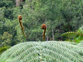 Malaysia