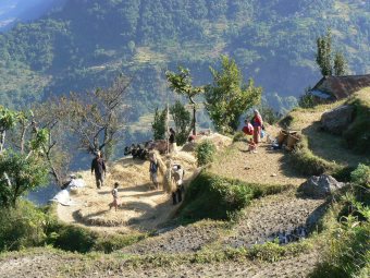 Nepal