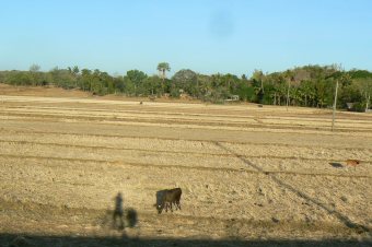 Philippinen