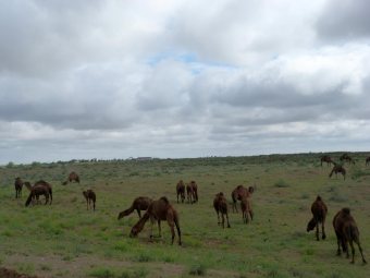 Turkmenistan