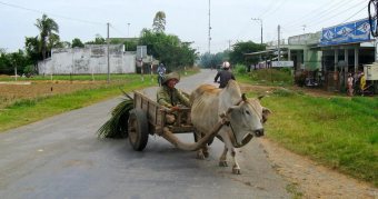 Vietnam