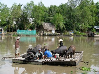 Vietnam