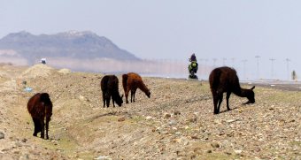 Bolivien